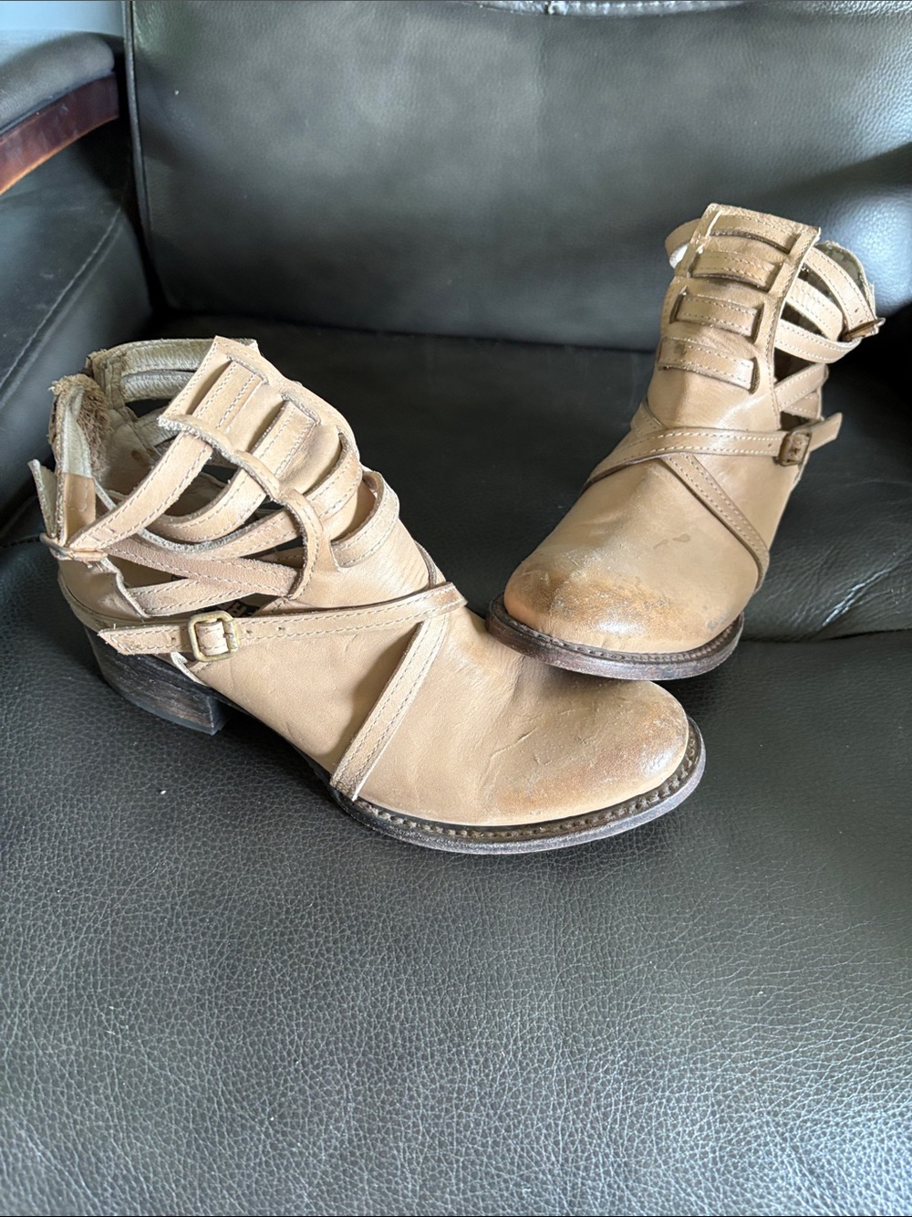 Freebird by Steven Strappy Cutout Ankle Boots in Tan